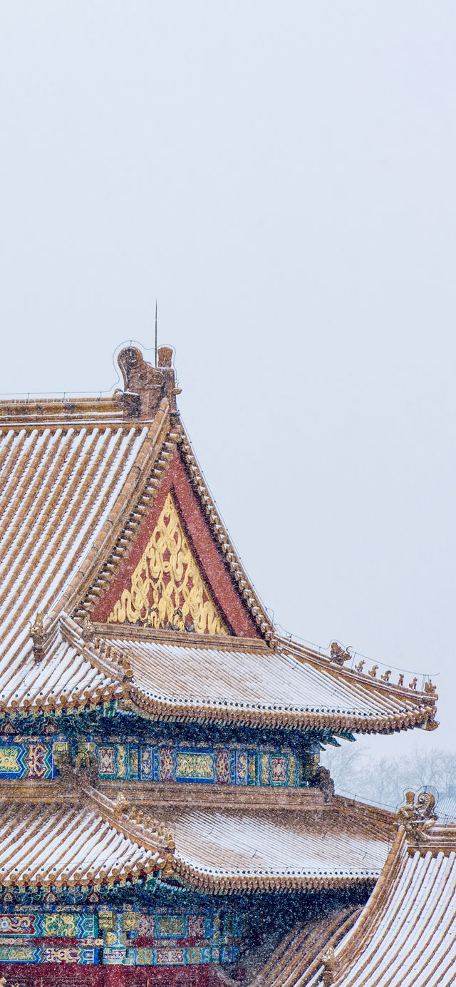 北京下雪啦!一起来看看故宮的雪景吧! 北京下雪啦!一起来看看故宮的雪景吧!