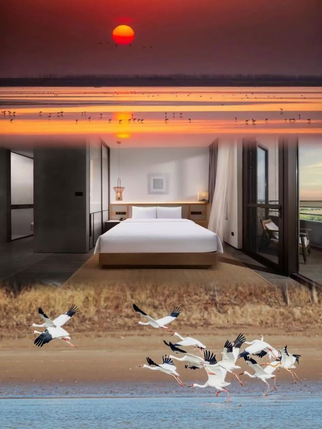 候鳥同框神仙酒店 候鳥同框神仙酒店