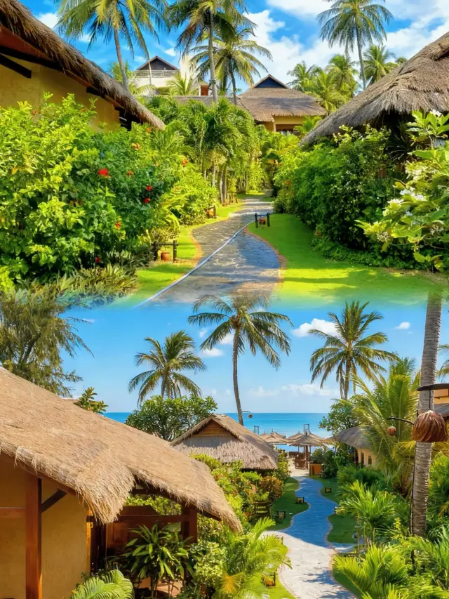 Must-stay seaside bungalow in Mui Ne! Open the window to a coconut grove