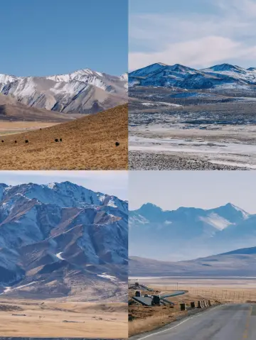 5번이나 청해를 다녀온 후 정리한 여행 가이드