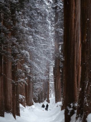 The most worthwhile place to visit in Japan!! After returning home, I miss it like crazy