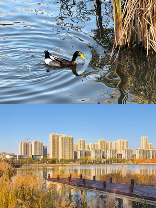 Sunset at Baoding Donghai Park｜Strolling by East Lake to Encounter Small Town Nightlife