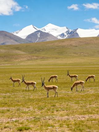 초보도 쉽게 이해하는 서북 대환선 관광지 입장권 지도 완벽 가이드!
