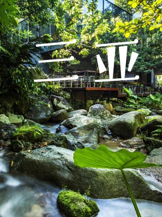 Take Your Parents to Sanya, Here’s a Filial Piety Guide for You