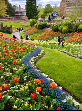 The backyard garden of old money in London has been found by me! Guildford Castle is beautiful