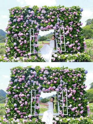 ฉันบังเอิญไปเจออนิเมะของมิยาซากิ ฮายาโอะ ที่มณฑลกวางตุ้ง! สวยงามจนน่าทึ่งเลย!