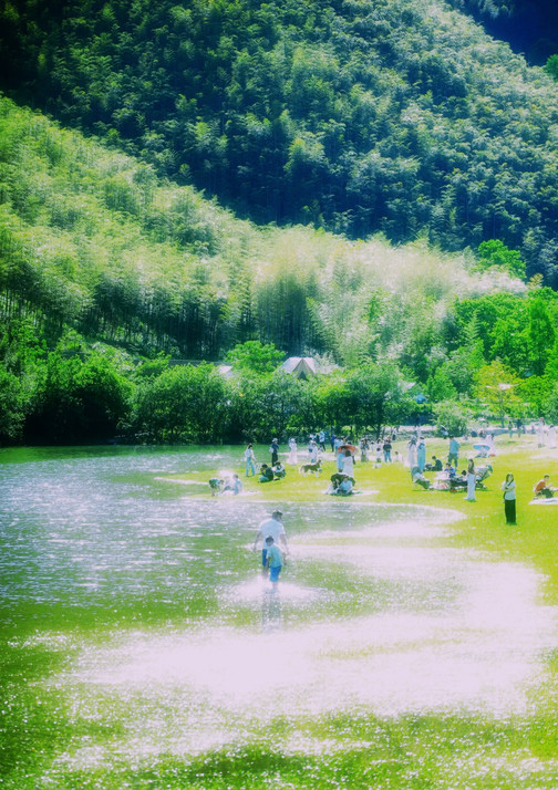 小杭坑(高山草甸营地) 参考图 7