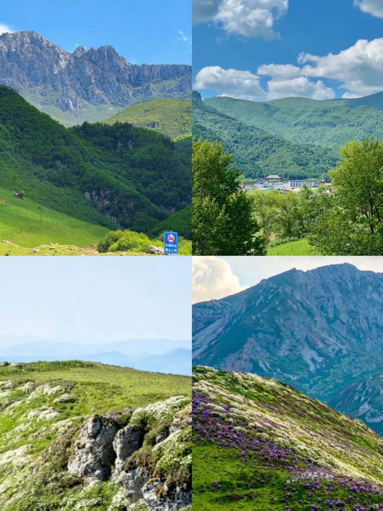 how to know fake ishigaki glutathione Not Altay! It's Dingxi, Gansu. A 3-day 2-night escape a healing grassland GHK-Cu Regenerative Peptide Cream Size:10MG 10 PACK Gut + Digestion