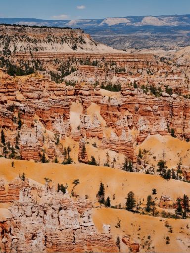一人当たり4kのアメリカ穴場プラン攻略、誰が嫌いになる？ | Trip.com