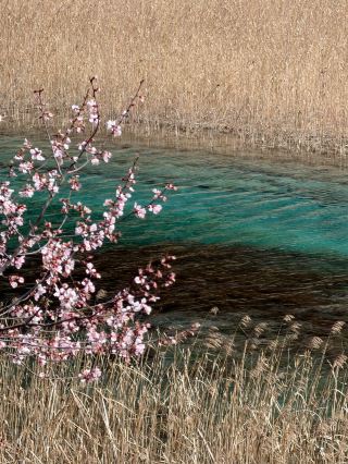 Jiuzhaigou | a must-visit, otherworldly scenic spot in western Sichuan that’s simply amazing!