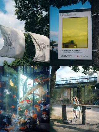 This autumn roaming route in Zhou Shi, Kunshan is so healing, you won't want to leave