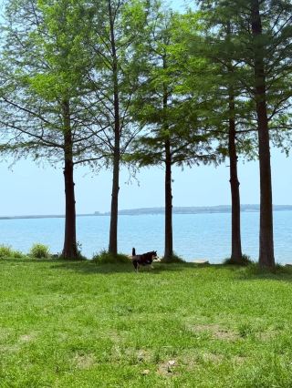 A Weekday Escape | Healed by the Breeze Under the Willows of East Taihu Lake