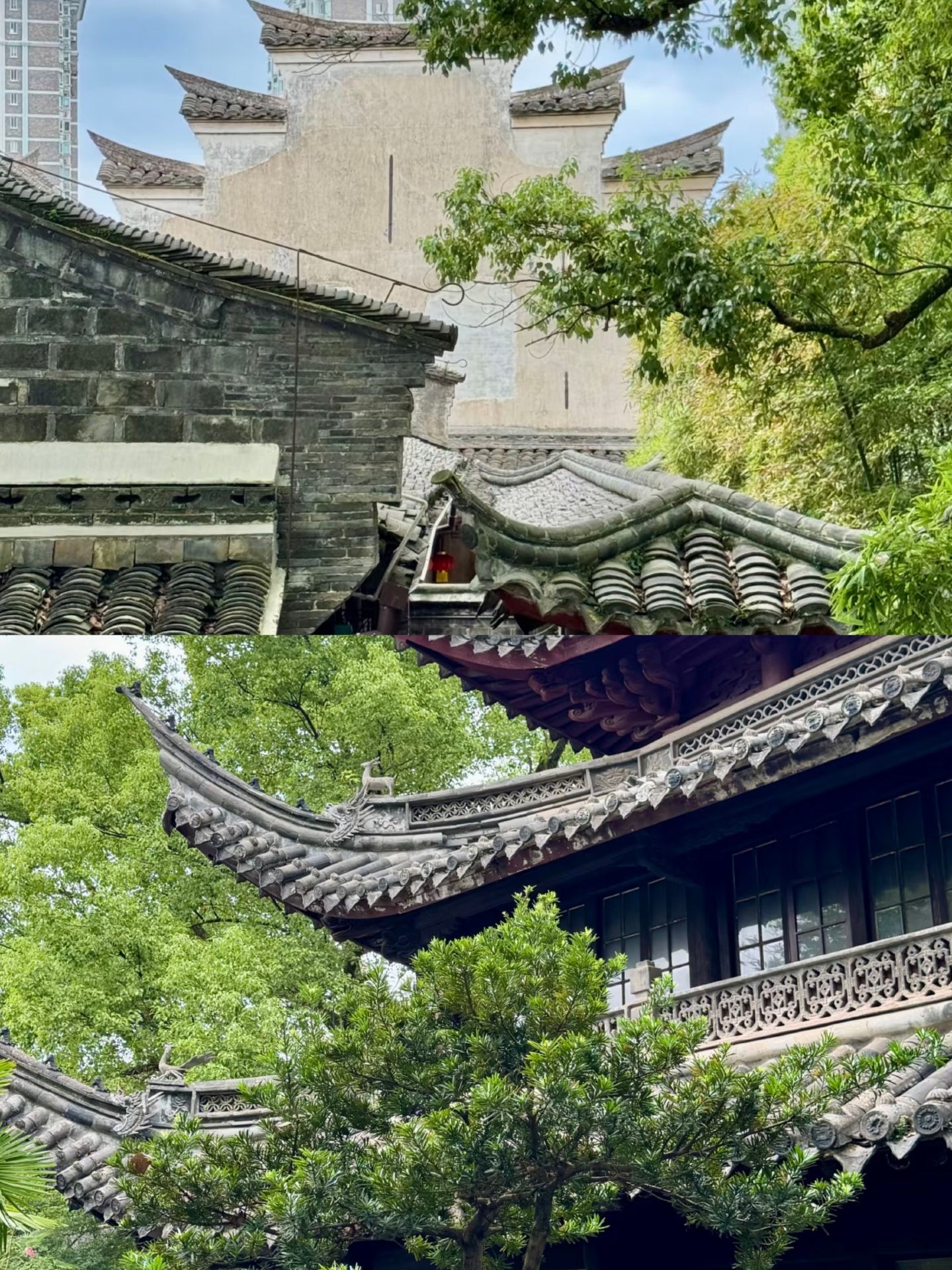 寧波から戻りましたが、10月〜11月の訪問は正直おすすめしません。