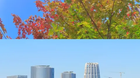 雄安已回,真的是人間理想。 — traveler post in 安新
