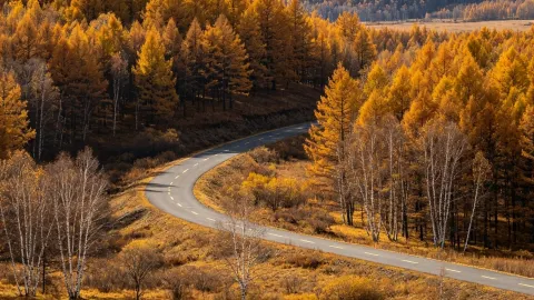 8 เมืองท่องเที่ยวฤดูใบไม้ร่วง | คู่มือท่องเที่ยวจริง เหมาะสำหรับมือใหม่ — traveler post in ไป๋ซาน