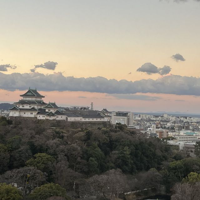 和歌山城的日與夜