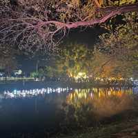 Yuejin Lantern Festival 2023