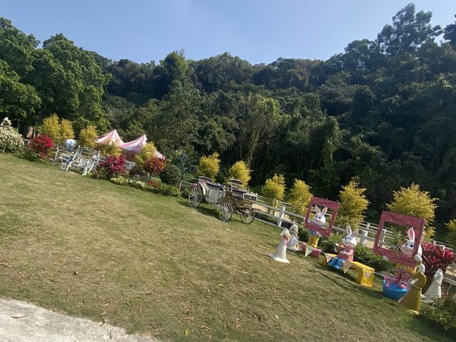 親親大自然🐎🦙🐇🐑