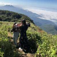 ดอยอินทนนท์⛰️🍃