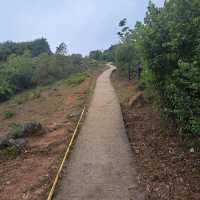 行山行山