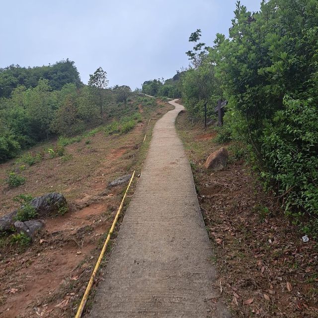 行山行山