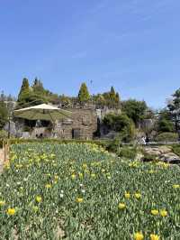 주말 봄꽃 나들이 추천;: 대전 한밭 수목원🌼