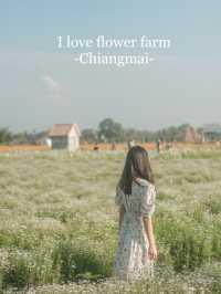 เดินเล่นฟีลเจ้าหญิงในสวนดอกไม้ I love flower farm