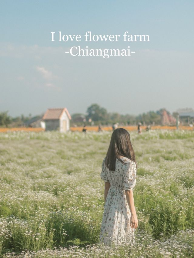 เดินเล่นฟีลเจ้าหญิงในสวนดอกไม้ I love flower farm