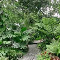 ร้านคาเฟ่สไตล์ในสวนกลางใจเมือง - ขมิ้น