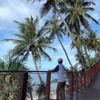 Freddies sky walk
