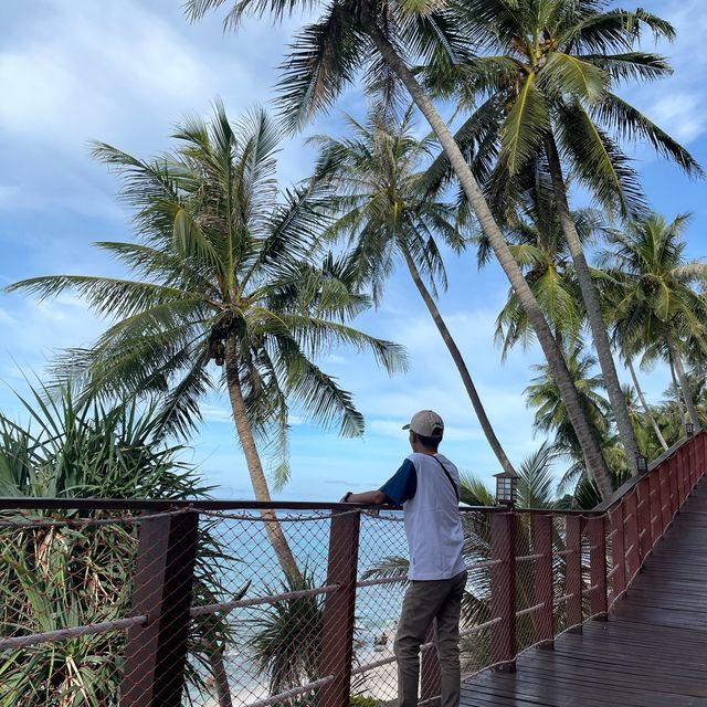 Freddies sky walk