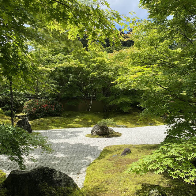 宮城松島「円通院」日本庭園が美しい