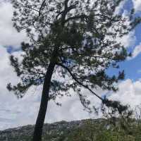 Baguio City 2023🍓🍓🍓