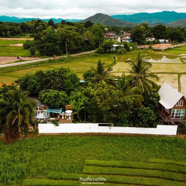 นอนโฮมสเตย์กลางนา ที่จังหวัดน่าน🌳
