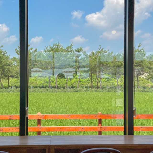 유럽수국 가득한 토성마을의 정원🍃💚