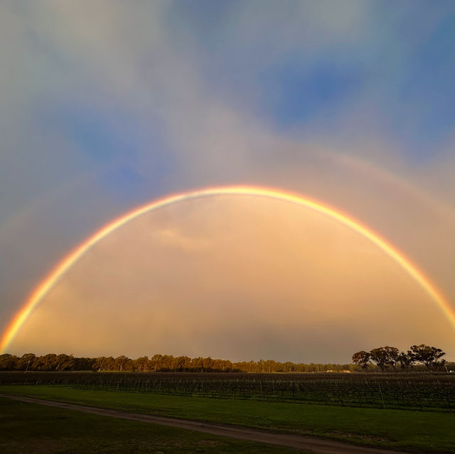 Balgownie Estate Bendigo的Glamping 在葡萄園中享受豪華露營體驗