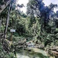 The Enchanting Blue Lagoon in Alegria, Cebu!