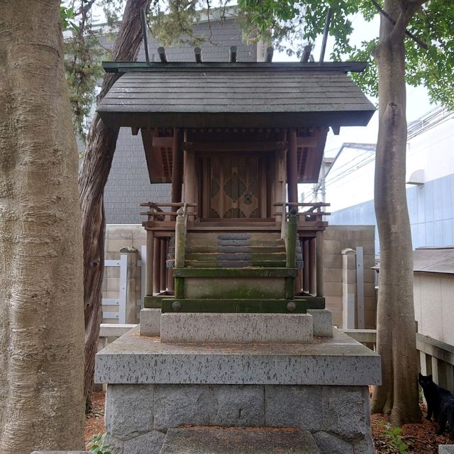 愛知旅行　業葉神社！（なりはじんじゃ）