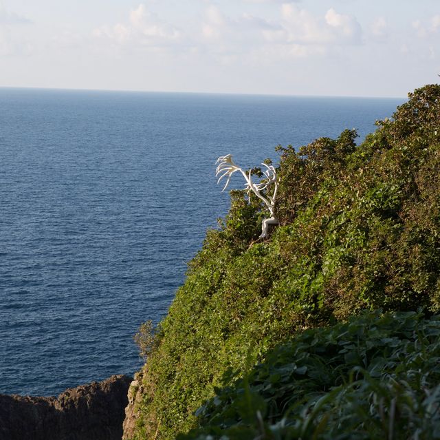 能登半島 ｜🩵木ノ浦海域公園