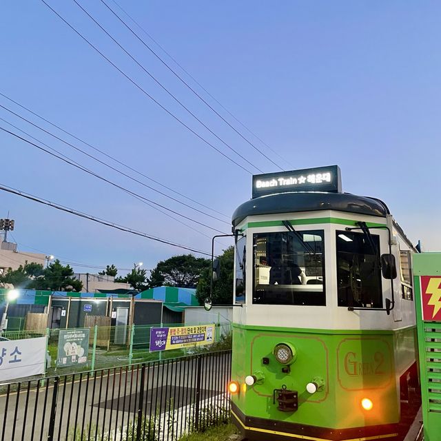 【韓國釜山】海雲台海岸列車🚞一望無際海景 