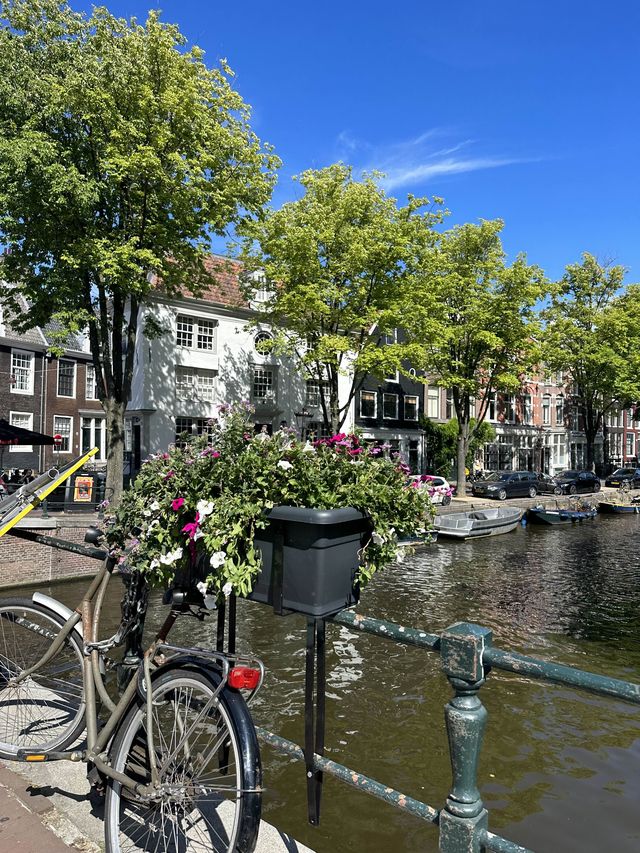 Canal Cruise, the best way to explore amsterdam 🇳🇱🚤 