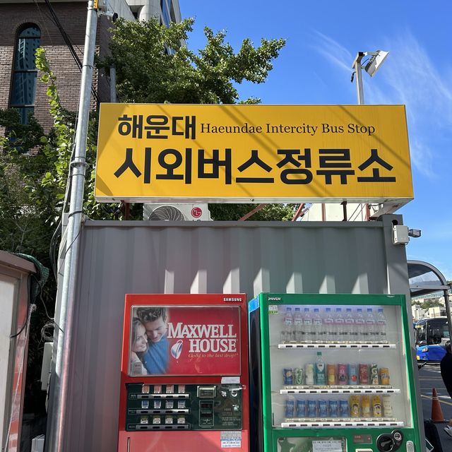 해운대 시외버스정류소, 부산 근교여행을 계획한다면 주목!