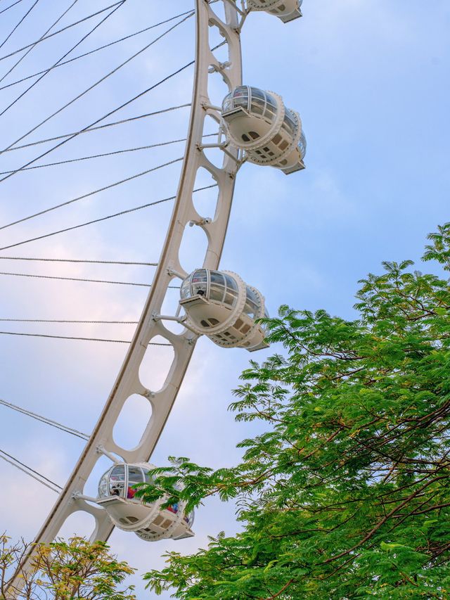 深圳週末好去處｜’灣區之光’摩天輪🎡