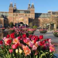 荷蘭🇳🇱阿姆斯特丹💐🌷🎨 Rijksmuseum荷蘭國立博物館