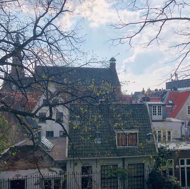 荷蘭🇳🇱萊頓🖼️🏰城堡美景Burcht van Leiden（勒頓城堡）