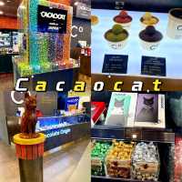 Cute Cacaocat Bugis Junction