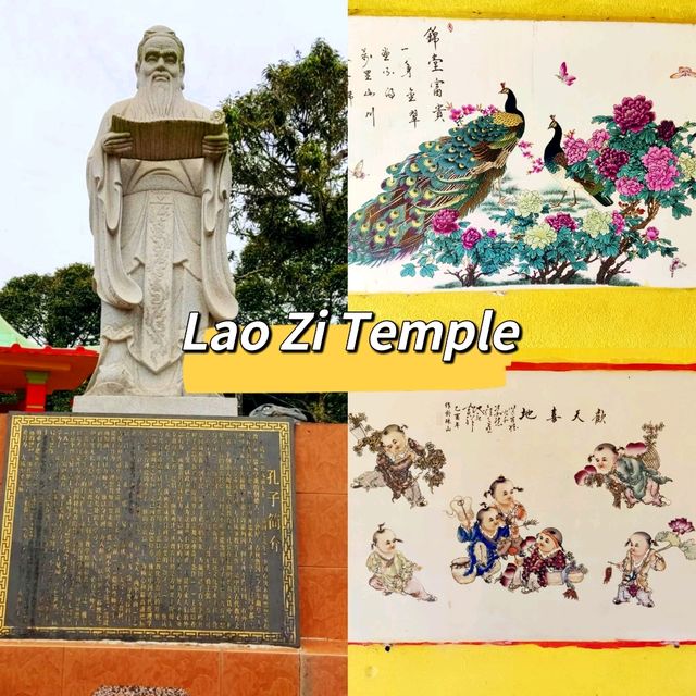 Cultural Learning at Lao Zi Temple