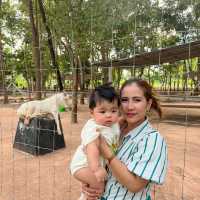 ทัณฑสถานหญิงพิษณุโลก ร้านเฟื่องฟ้า
