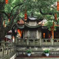法光寺 🏯靈性與寧靜🙏✨