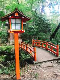都内にある隠された秘境🫧緑豊かな渓谷🌿🕊‎【等々力】